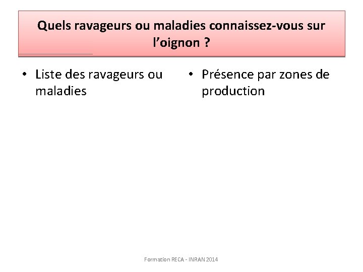 Quels ravageurs ou maladies connaissez-vous sur l’oignon ? • Liste des ravageurs ou maladies