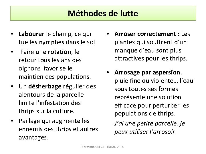 Méthodes de lutte • Labourer le champ, ce qui tue les nymphes dans le