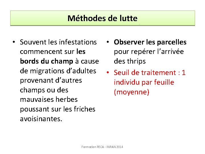 Méthodes de lutte • Souvent les infestations • Observer les parcelles commencent sur les