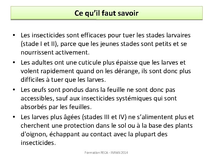 Ce qu’il faut savoir • Les insecticides sont efficaces pour tuer les stades larvaires