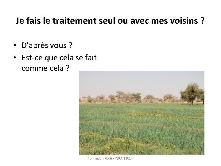 Je fais le traitement seul ou avec mes voisins ? • D’après vous ?