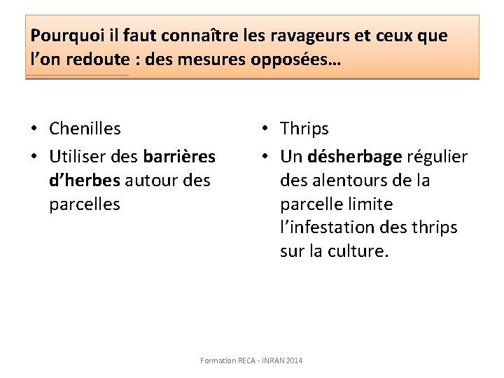 Pourquoi il faut connaître les ravageurs et ceux que l’on redoute : des mesures