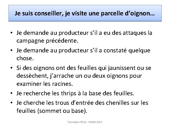 Je suis conseiller, je visite une parcelle d’oignon… • Je demande au producteur s’il