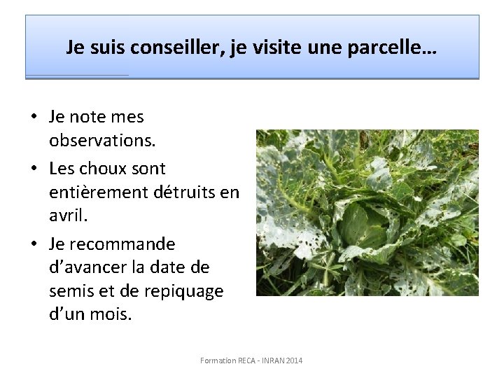 Je suis conseiller, je visite une parcelle… • Je note mes observations. • Les