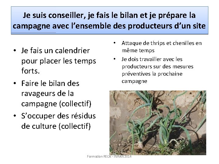 Je suis conseiller, je fais le bilan et je prépare la campagne avec l’ensemble