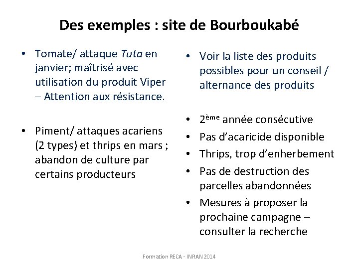 Des exemples : site de Bourboukabé • Tomate/ attaque Tuta en janvier; maîtrisé avec