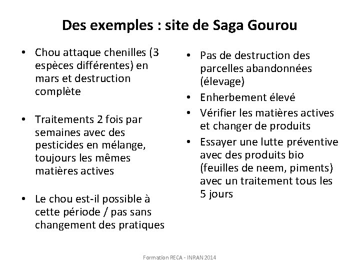 Des exemples : site de Saga Gourou • Chou attaque chenilles (3 espèces différentes)