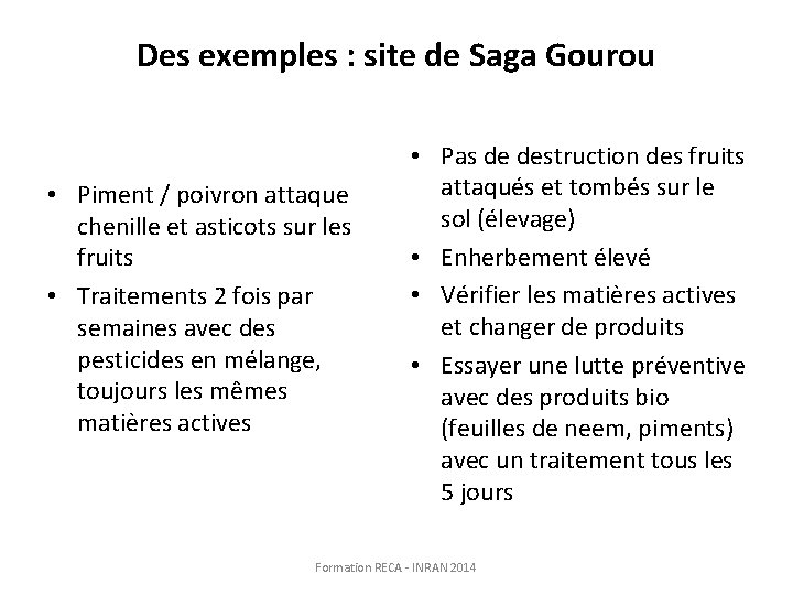 Des exemples : site de Saga Gourou • Piment / poivron attaque chenille et