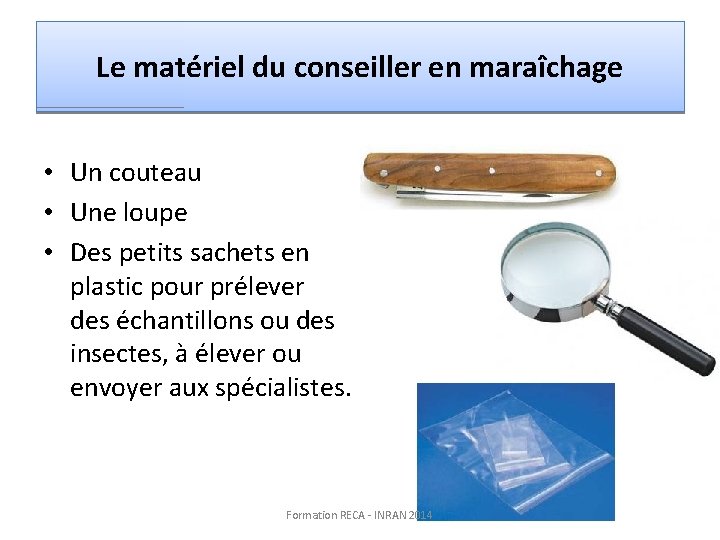 Le matériel du conseiller en maraîchage • Un couteau • Une loupe • Des