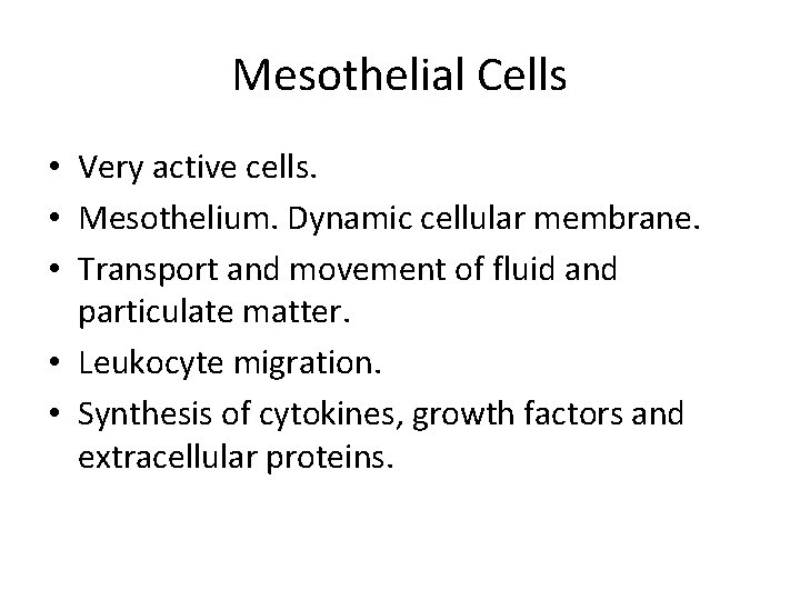 Mesothelial Cells • Very active cells. • Mesothelium. Dynamic cellular membrane. • Transport and