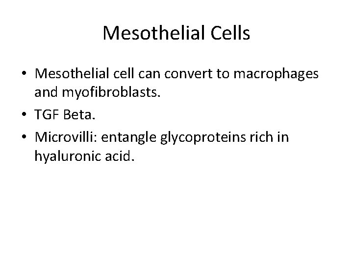 Mesothelial Cells • Mesothelial cell can convert to macrophages and myofibroblasts. • TGF Beta.