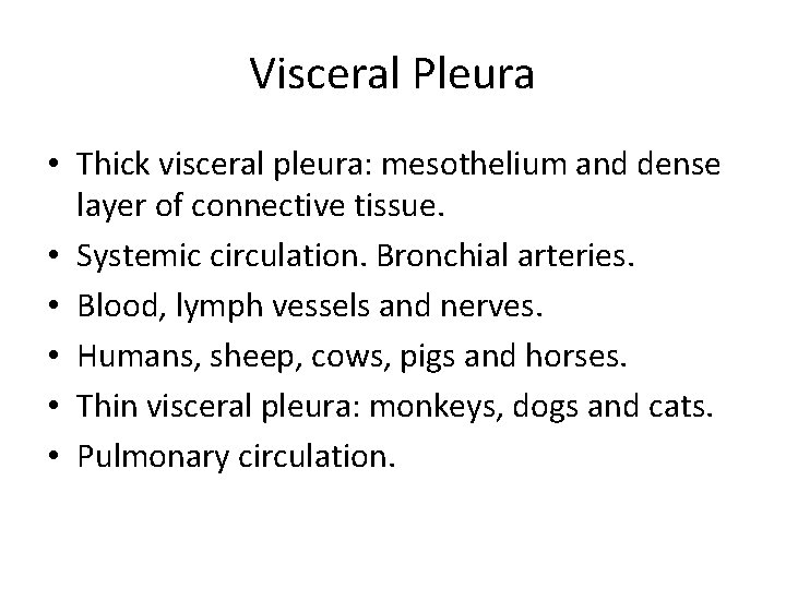 Visceral Pleura • Thick visceral pleura: mesothelium and dense layer of connective tissue. •