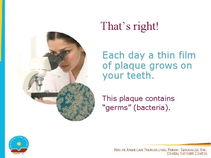 That’s right! Each day a thin film of plaque grows on your teeth. This