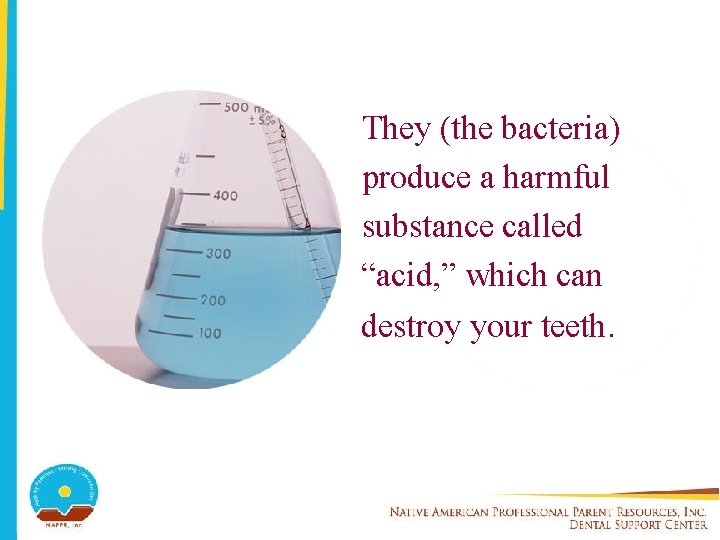 They (the bacteria) produce a harmful substance called “acid, ” which can destroy your