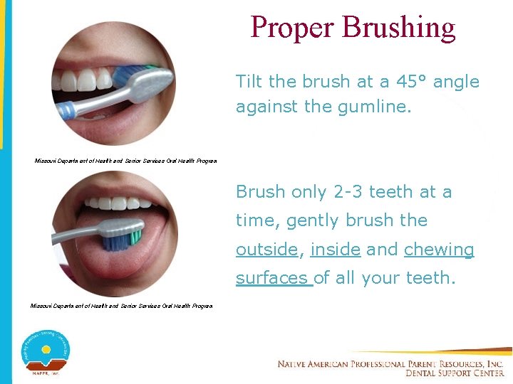 Proper Brushing Tilt the brush at a 45° angle against the gumline. Missouri Department