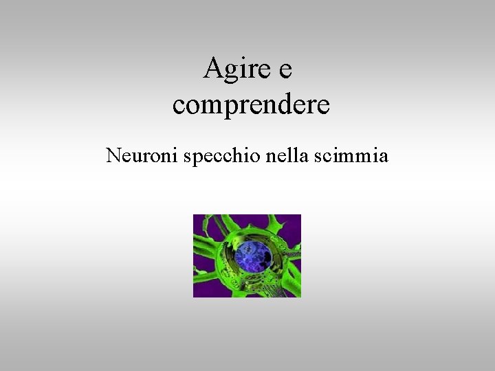 Agire e comprendere Neuroni specchio nella scimmia 