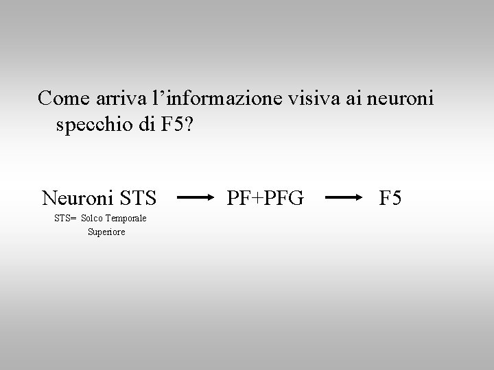 Come arriva l’informazione visiva ai neuroni specchio di F 5? Neuroni STS= Solco Temporale
