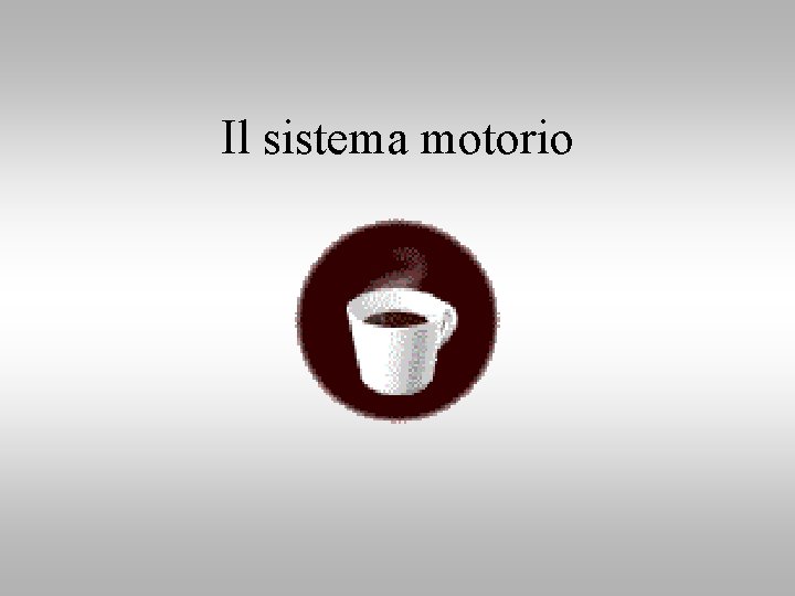 Il sistema motorio 