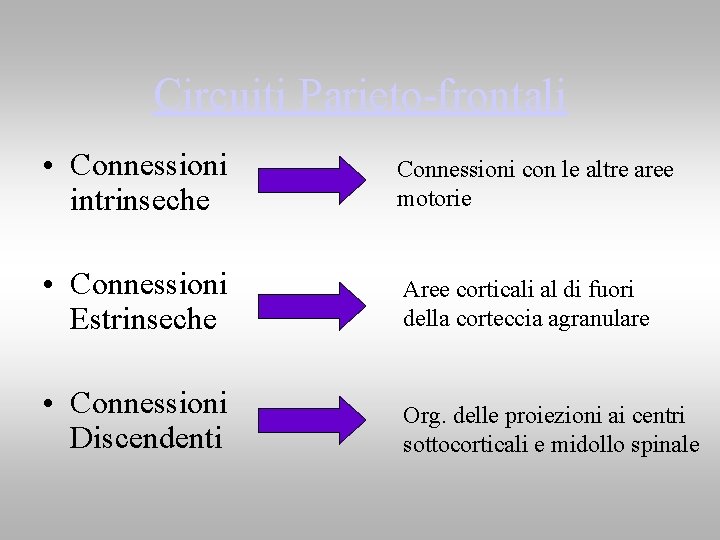 Circuiti Parieto-frontali • Connessioni intrinseche Connessioni con le altre aree motorie • Connessioni Estrinseche