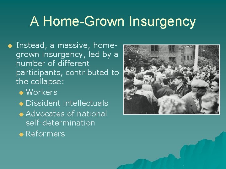 A Home-Grown Insurgency Instead, a massive, homegrown insurgency, led by a number of different