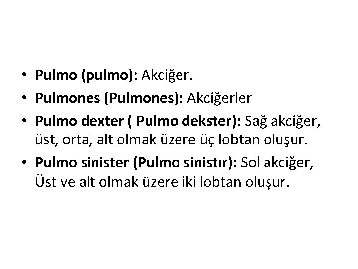  • Pulmo (pulmo): Akciğer. • Pulmones (Pulmones): Akciğerler • Pulmo dexter ( Pulmo