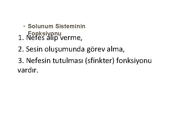  • Solunum Sisteminin Fonksiyonu 1. Nefes alıp verme, 2. Sesin oluşumunda görev alma,