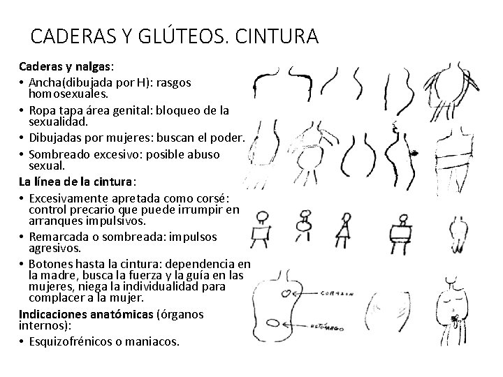 CADERAS Y GLÚTEOS. CINTURA Caderas y nalgas: • Ancha(dibujada por H): rasgos homosexuales. •