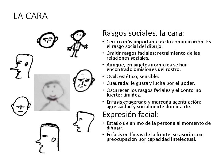 LA CARA Rasgos sociales. la cara: • Centro más importante de la comunicación. Es