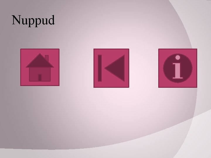 Nuppud 