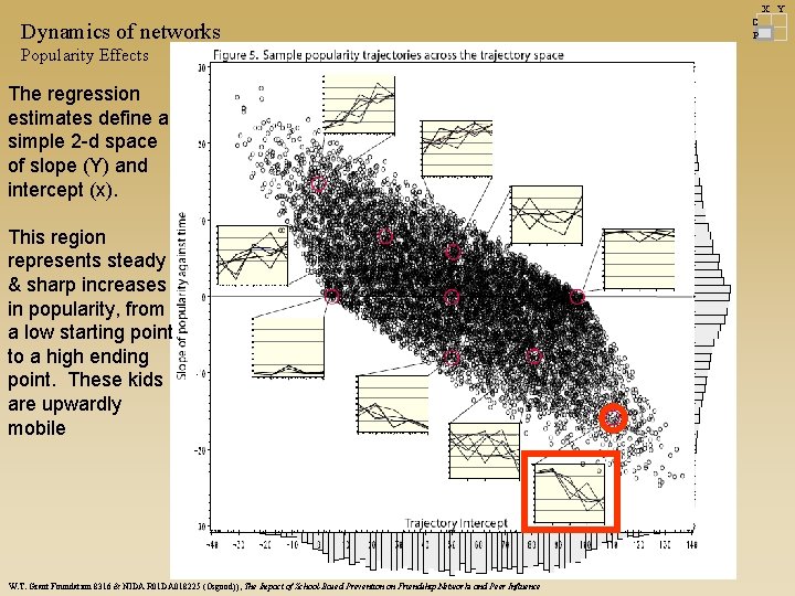 X Y Dynamics of networks Popularity Effects The regression estimates define a simple 2