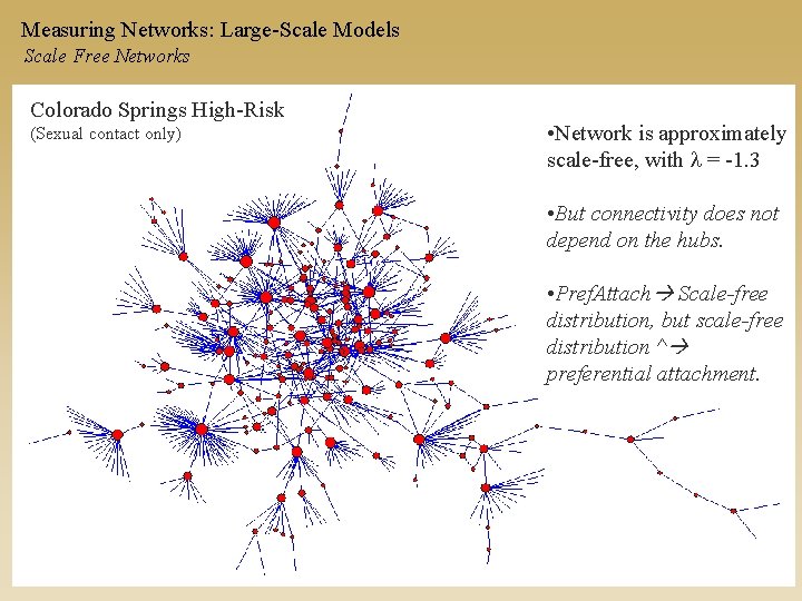 Measuring Networks: Large-Scale Models Scale Free Networks Colorado Springs High-Risk (Sexual contact only) •