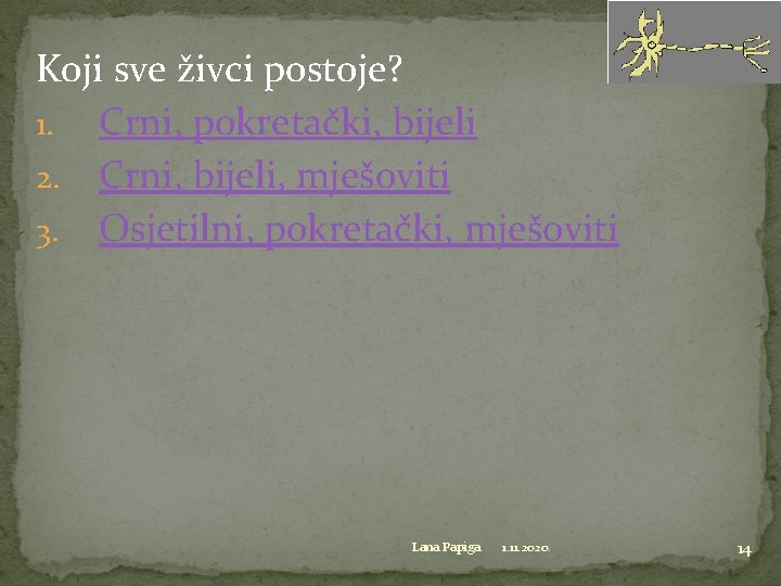 Koji sve živci postoje? 1. Crni, pokretački, bijeli 2. Crni, bijeli, mješoviti 3. Osjetilni,