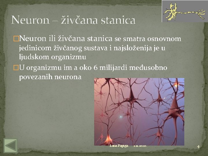 Neuron – živčana stanica �Neuron ili živčana stanica se smatra osnovnom jedinicom živčanog sustava