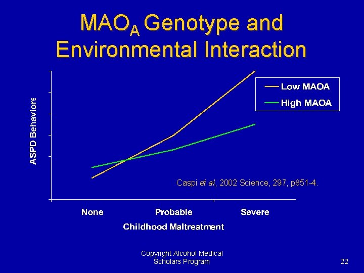 MAOA Genotype and Environmental Interaction Caspi et al, 2002 Science, 297, p 851 -4.