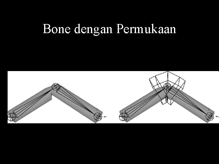 Bone dengan Permukaan 