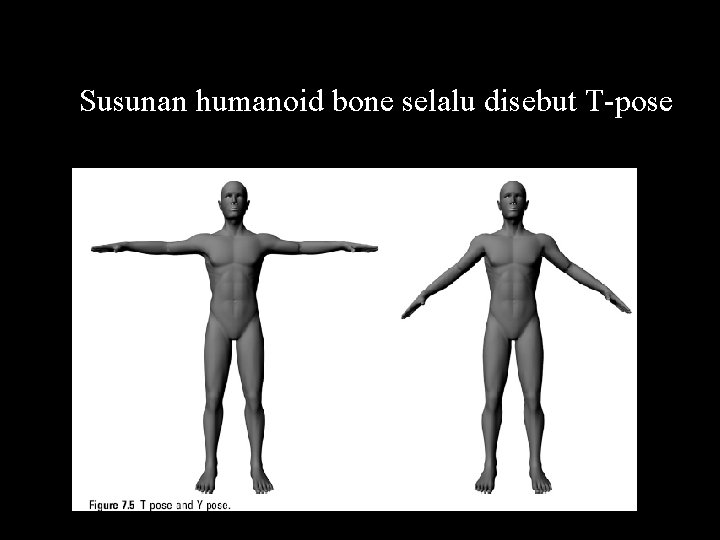 Susunan humanoid bone selalu disebut T-pose 