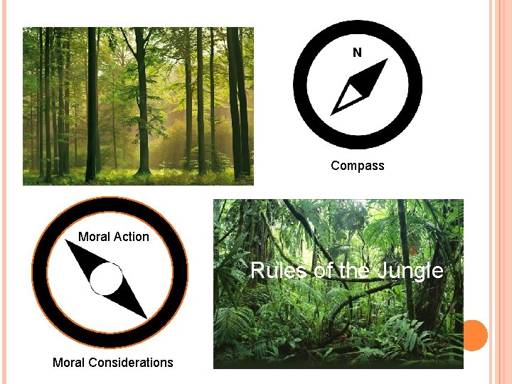 N Compass Moral Action Rules of the Jungle Moral Considerations 
