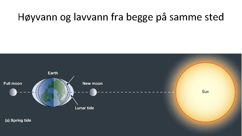 Høyvann og lavvann fra begge på samme sted 