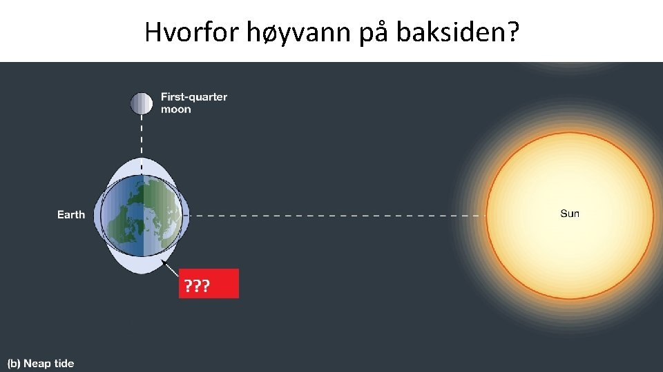 Hvorfor høyvann på baksiden? 