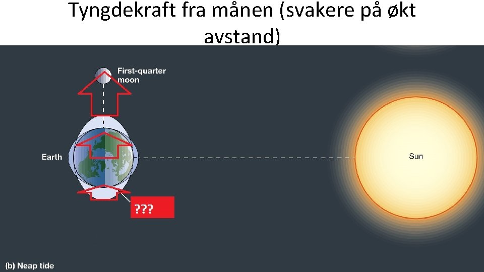 Tyngdekraft fra månen (svakere på økt avstand) 