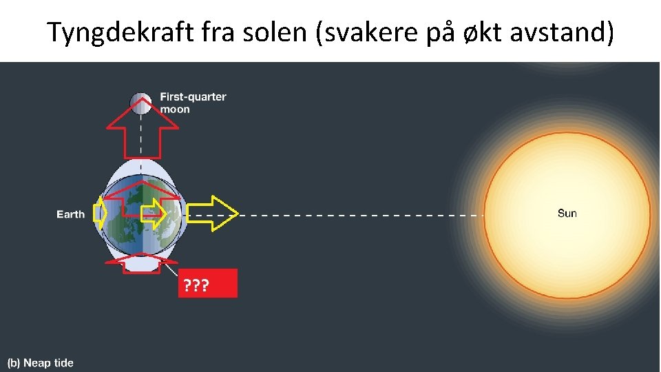 Tyngdekraft fra solen (svakere på økt avstand) 