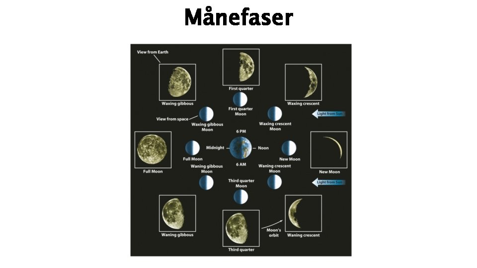 Månefaser 