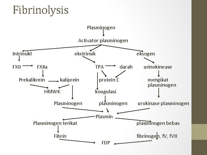 Fibrinolysis Activator plasminogen Intrinsikl FXII Plasminogen ekstrinsik FXIIa Prekalikrein TPA kaliprein HMWK Plasminogen darah