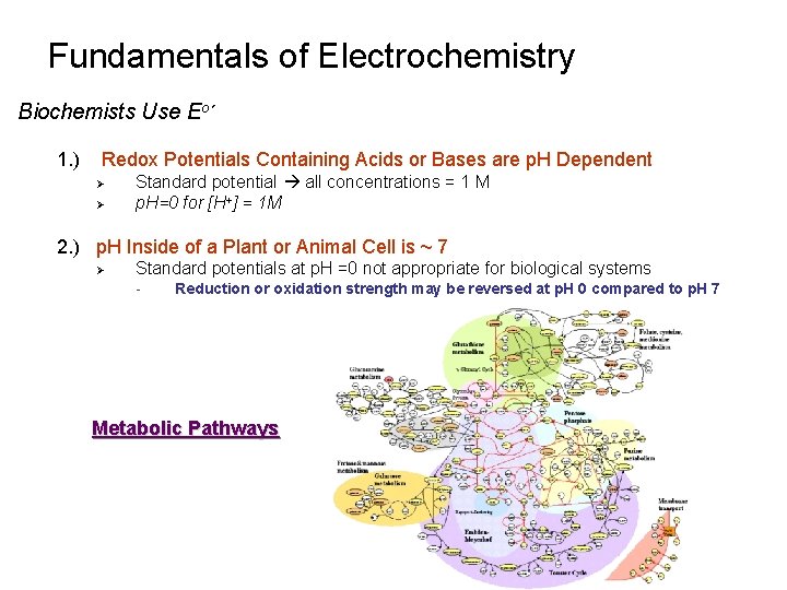 Fundamentals of Electrochemistry Biochemists Use Eo´ 1. ) Redox Potentials Containing Acids or Bases