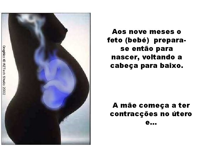 Aos nove meses o feto (bebé) preparase então para nascer, voltando a cabeça para