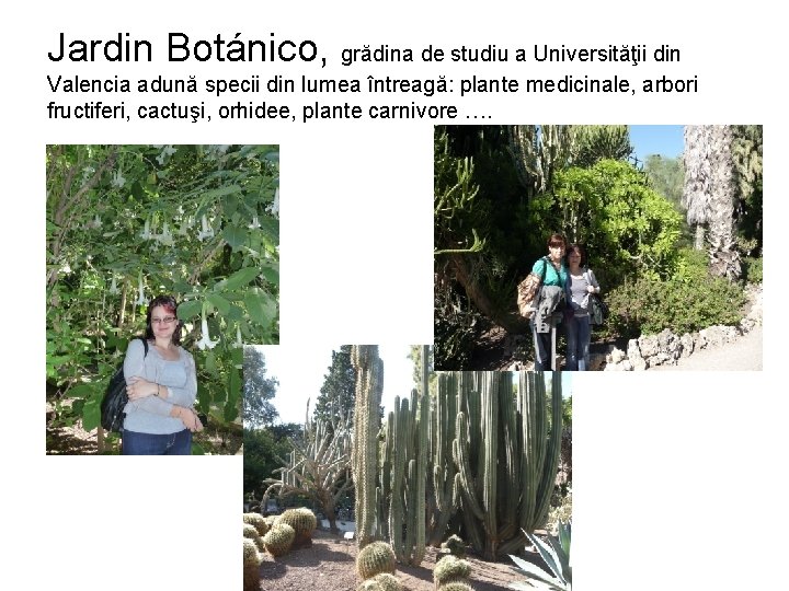 Jardin Botánico, grădina de studiu a Universităţii din Valencia adună specii din lumea întreagă: