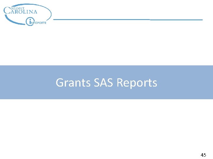 Grants SAS Reports 45 