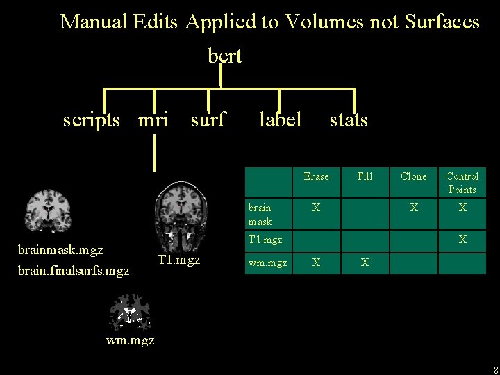 Manual Edits Applied to Volumes not Surfaces bert scripts mri surf label stats Erase