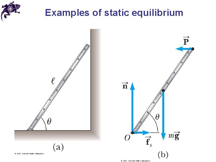 Examples of static equilibrium Examples of static equilibrium