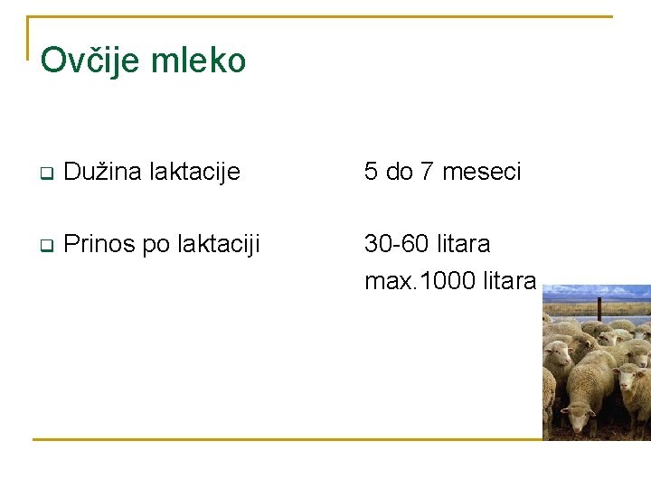 Ovčije mleko q Dužina laktacije 5 do 7 meseci q Prinos po laktaciji 30